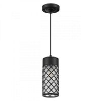Подвесной уличный светильник Odeon Light 4834/1 фото