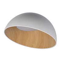 Накладной светильник LOFT IT 10197/500 White фото