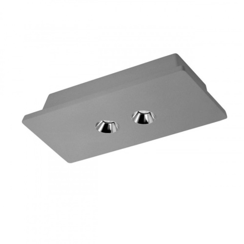 Накладной светильник LOFT IT OL1072-GH/2
