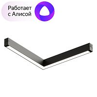 Светильник на шине Denkirs DK8014-BK фото