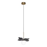Подвесной светильник LOFT IT 10213/B Black фото
