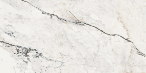 Керамогранит Lafaenza Ceramica Aesthetica AE PAO6 12 RM 60x120