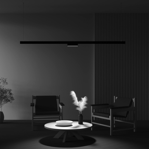 Трековый светильник Maytoni Technical TR033-2-12W4K-B фото 2