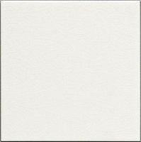 Плитка Adex ADMO1015 Liso PB C/C Blanco 15х15 фото