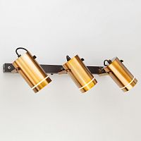 Спот Eurosvet 20063/3 LED античная бронза фото