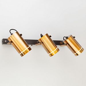 Спот Eurosvet 20063/3 LED античная бронза фото