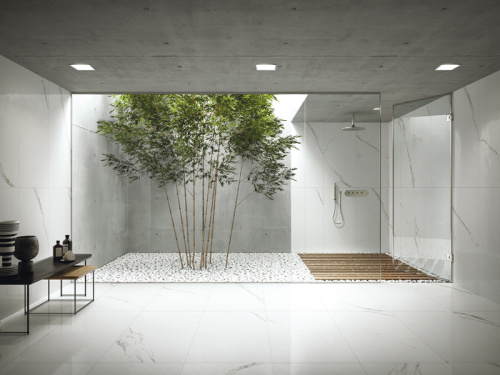 Керамогранит Ariostea Marmi Classici PL612498 Gris De Savoie Lucidato 60x120 фото 2