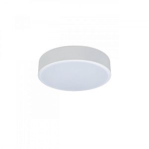 Накладной светильник LOFT IT 10002/12 White фото