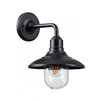 Светильник настенный Odeon Light 4965/1W фото