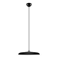 Подвесной светильник LOFT IT 10119 Black фото