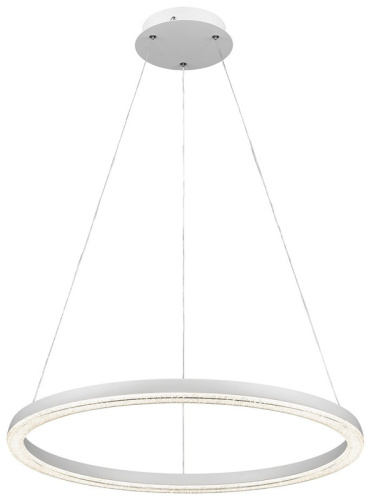 Подвесной светильник WERTMARK WE411.01.003