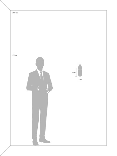 Настенный светильник (бра) Freya FR10002WL-L6W фото 7