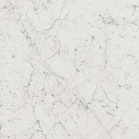 Italon Керамический гранит Charme Extra Floor Project Керамогранит Carrara 60x60 натуральный фото