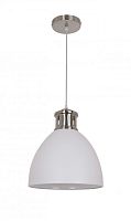 Подвесной светильник Odeon Light 3323/1 фото