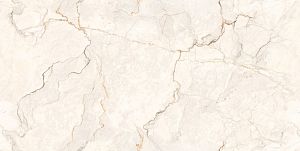 Керамогранит Ocean Ceramic India Infinity Electico Ivory 60х120 фото