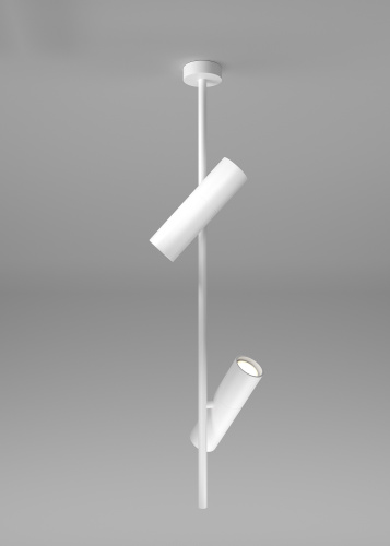 Потолочный светильник Maytoni Technical C021CL-02W фото 2