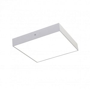 Накладной светильник Favourite 2066-30C фото