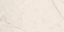 Керамогранит Lafaenza Ceramica TREX 12W RM White 60x120 фото