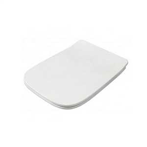 Artceram A16 MINI  Сиденье для унитаза, с микролифтом, цвет: белый/хром фото