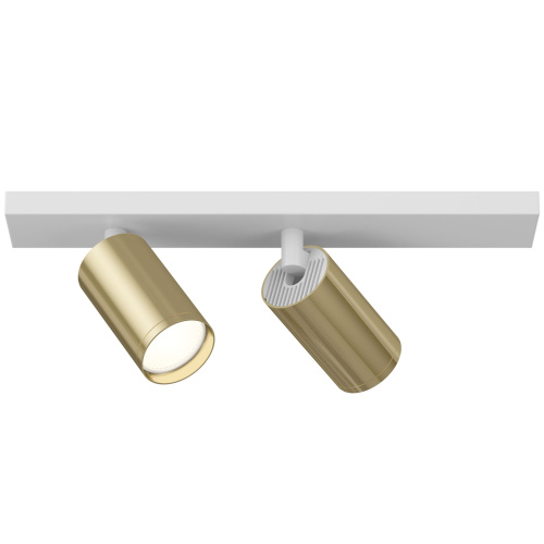 Потолочный светильник (Набор) Maytoni Technical C051CL-2WG фото 2