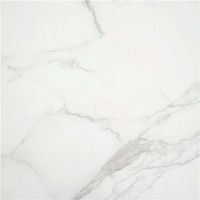 Керамогранит STN Ceramica Purity P.E. White Sat Rect 100x120 фото