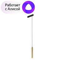 Светильник на шине Denkirs DK8008-BG фото