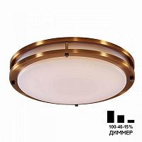 Накладной светильник Citilux CL709503N фото