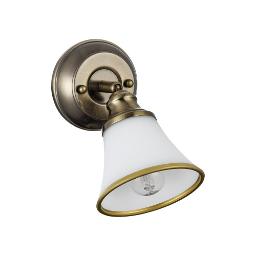 Спот Freya FR2272-WL-01-BS фото 2