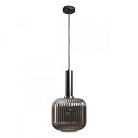 Подвесной светильник LOFT IT 2070-B+BL фото