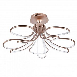 Накладная люстра Favourite 2547-10U фото