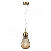 Подвесной светильник Odeon Light 5402/1 фото