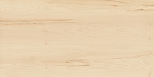 Italon Керамический гранит Element Wood Керамогранит Acero 60x120 натуральный фото