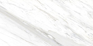 Керамогранит Ocean-Ceramic Calcatta Belgia 60x120 фото