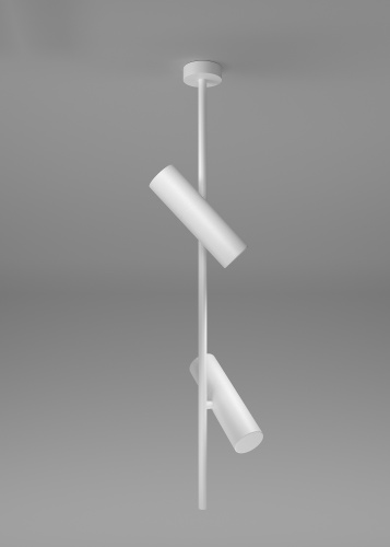 Потолочный светильник Maytoni Technical C021CL-02W фото 6