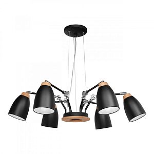 Подвесная люстра LOFT IT LOFT4402/6BL фото