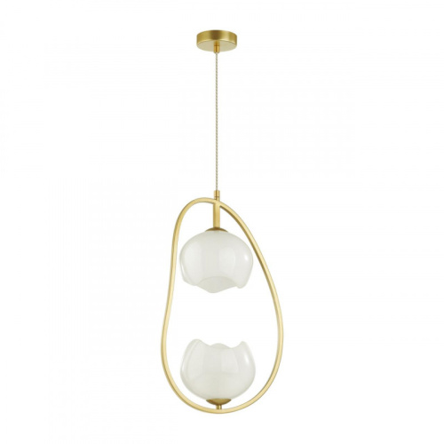 Подвесной светильник Odeon Light 4873/2