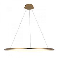 Подвесной светильник LOFT IT 10014XL фото