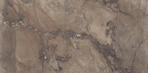 Керамогранит Ariana PF60004406 Epoque Brown Lap 60x120