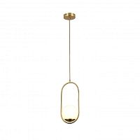 Подвесной светильник F-Promo 2915-1P фото