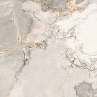 Керамогранит Lafaenza Ceramica OR OCE 60 RM 60x60 фото