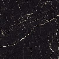 Керамогранит Atlas Concorde Russia Allure 610015000447 Imperial Black Lap 59х59 фото
