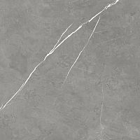 Керамогранит 610015000649 Forte dei Marmi Elegant Grey 80x80 фото