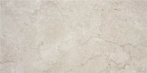 Керамогранит STN Ceramica Cruise CAN5CRUIBDOA Greige MT 60x120 фото