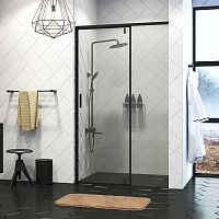 Wasserkraft Elbe 74P12 Душевая дверь фото