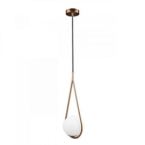 Подвесной светильник LOFT IT LOFT2599-A фото