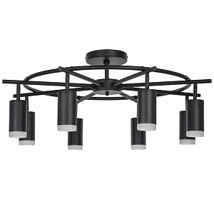 Люстра на штанге Lightstar LR7183780 фото