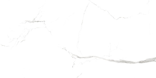 QUA Granite Bianco River 120x60 белый полированная фото 5