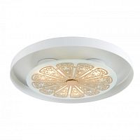 Накладной светильник Favourite 2602-3C фото