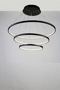 Подвесной светильник Favourite 1764-18P фото