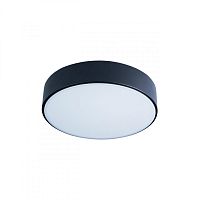 Накладной светильник LOFT IT 10002/12 Black фото